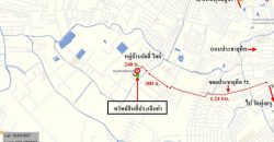 ลัลลี่ วิลล์