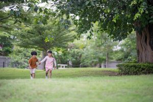 Habitat Wongwaen Sankamphaeng