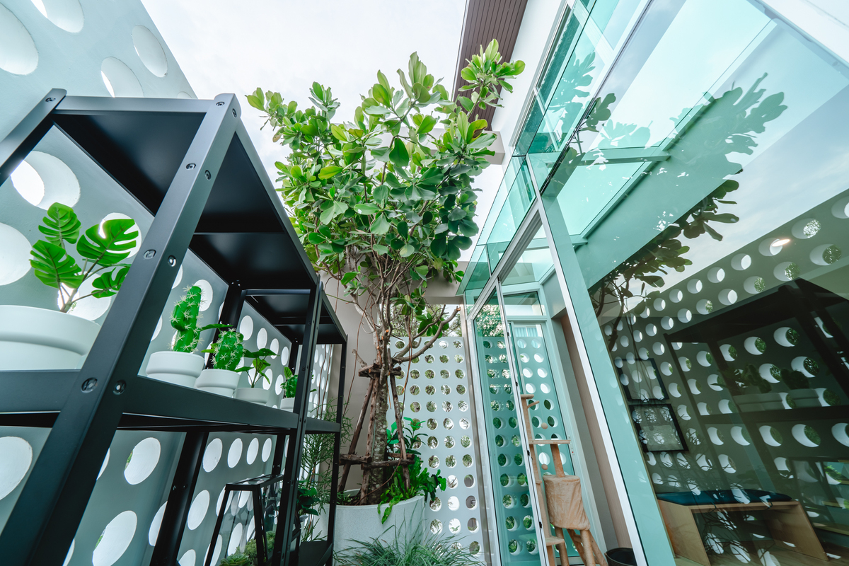 Nirvana ABSOLUTE Bangna