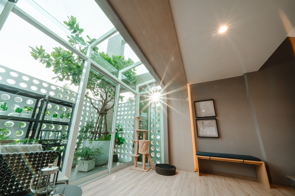 Nirvana ABSOLUTE Bangna