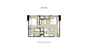 TYPE B-1