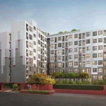 THE FUSION OF​ WORK AND PLAY