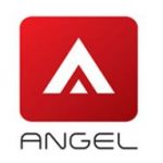 Angel Real Estate Consultancy Co., LTD